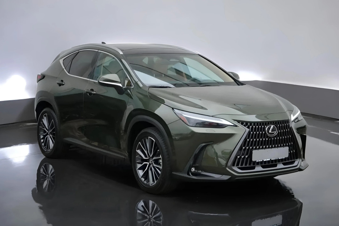 Lexus NX 350h E-FOUR Luxury Line (2)