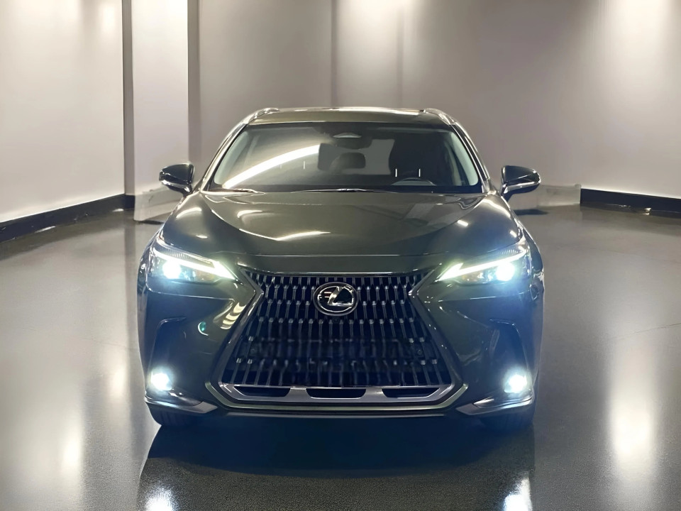 Lexus NX 450h+ Plug-in Hybrid Business Line (2)