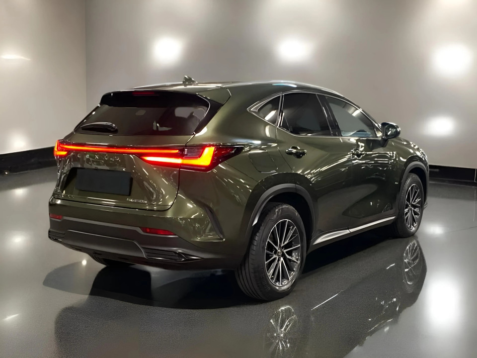 Lexus NX 450h+ Plug-in Hybrid Business Line (5)