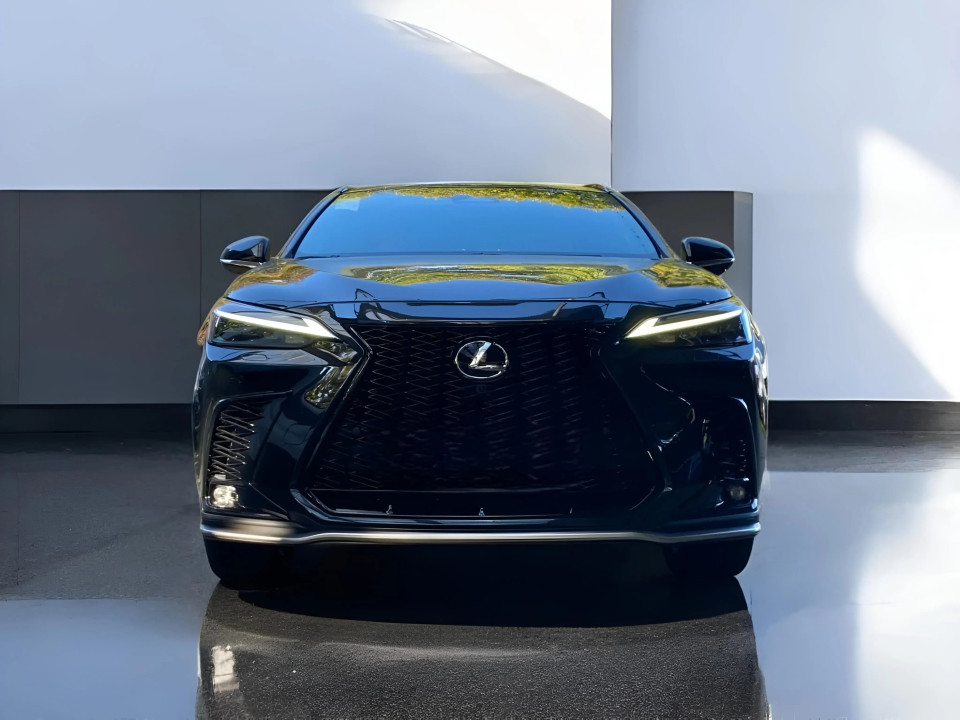 Lexus Seria NX 350h AWD F-Sport (2)