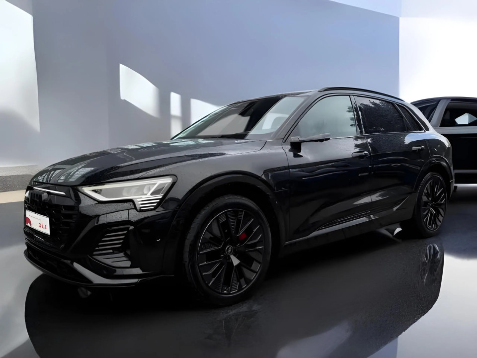 Audi Q8 e-tron 55 quattro S-Line (2)