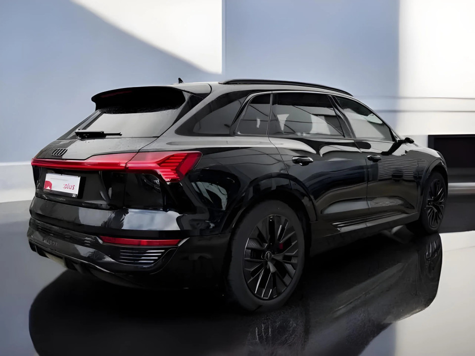 Audi Q8 e-tron 55 quattro S-Line (3)