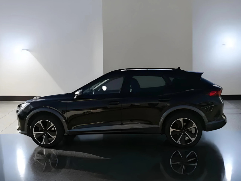 Cupra Formentor 1.5TSI (4)