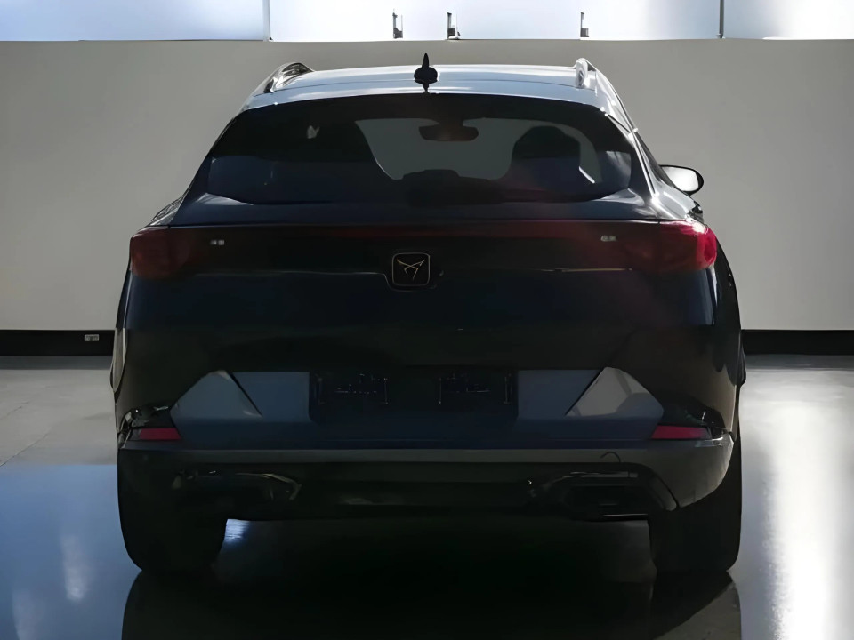 Cupra Formentor 1.5TSI (5)