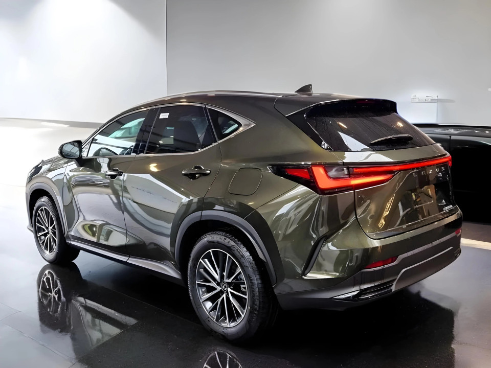 Lexus Seria NX 350h Business Line (3)