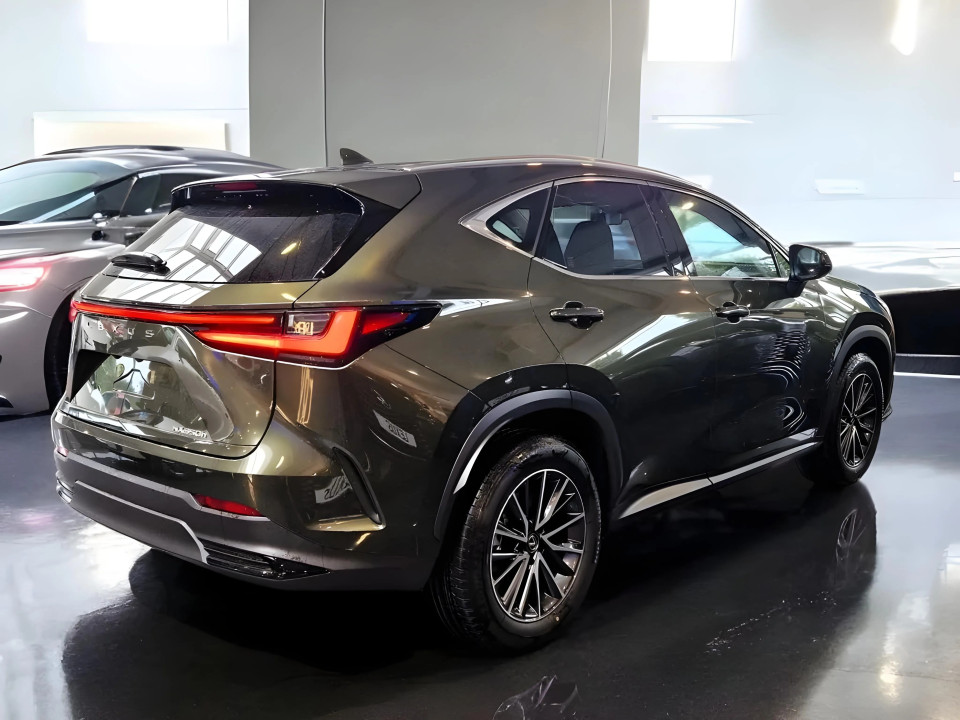 Lexus Seria NX 350h Business Line (4)