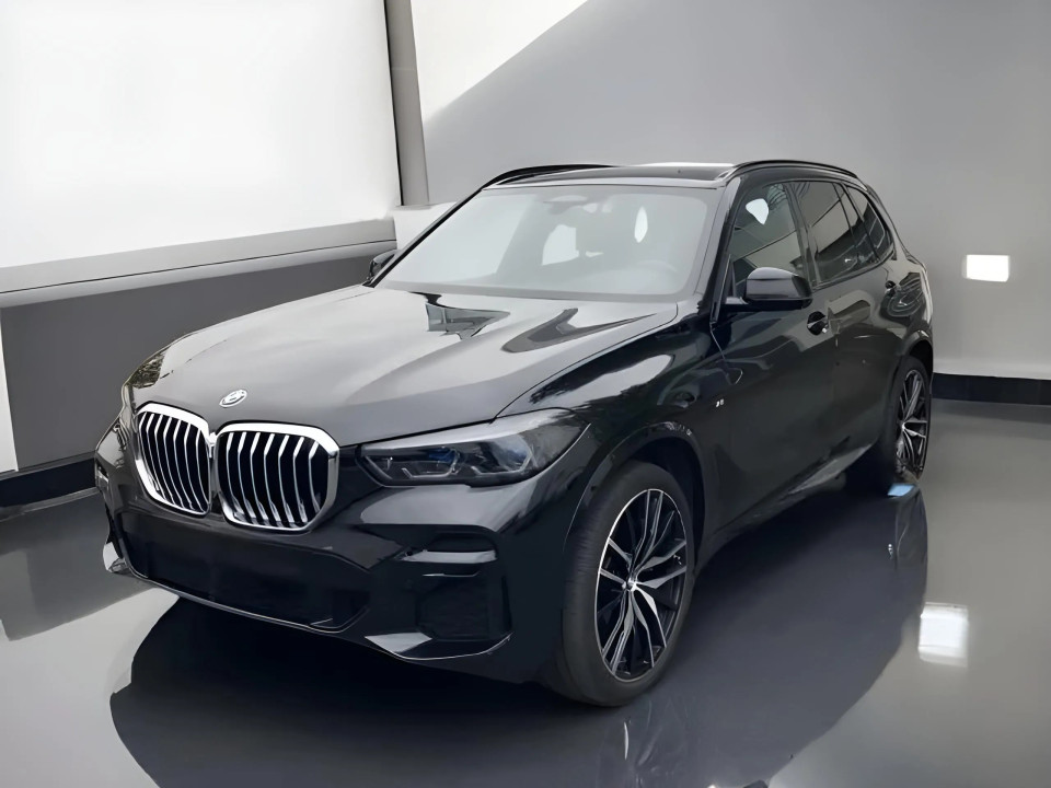 BMW X5 xDrive 30d