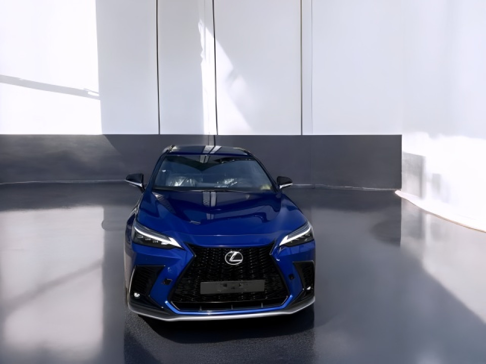 Lexus NX 450h+ F Sport (2)