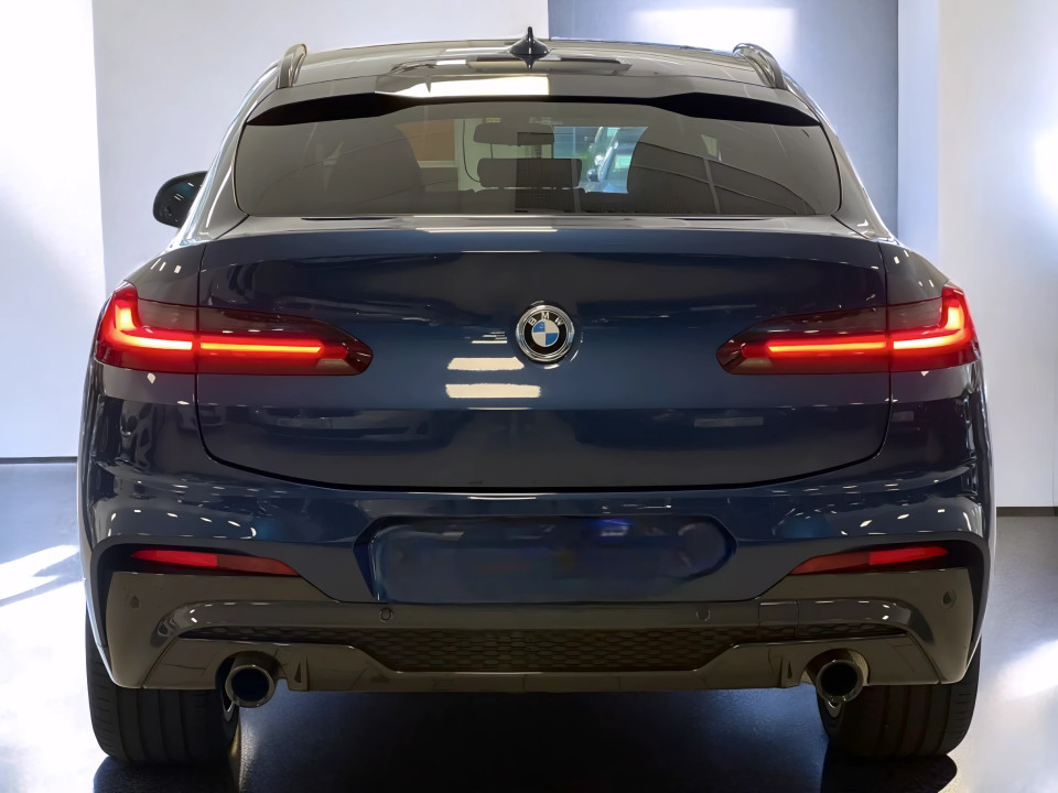 BMW X4 xDrive30d M-Sport (4)