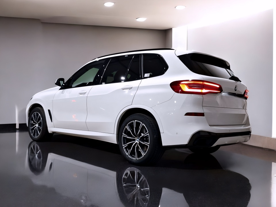 BMW X5 xDrive30d (2)