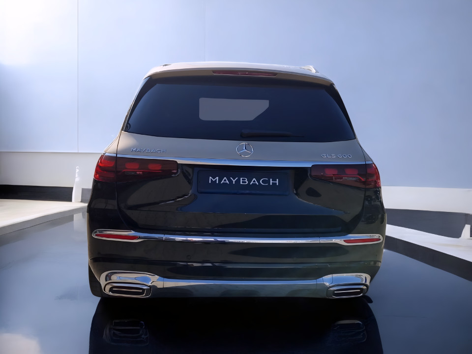 Mercedes-Benz GLS Maybach 600 4MATIC (4)