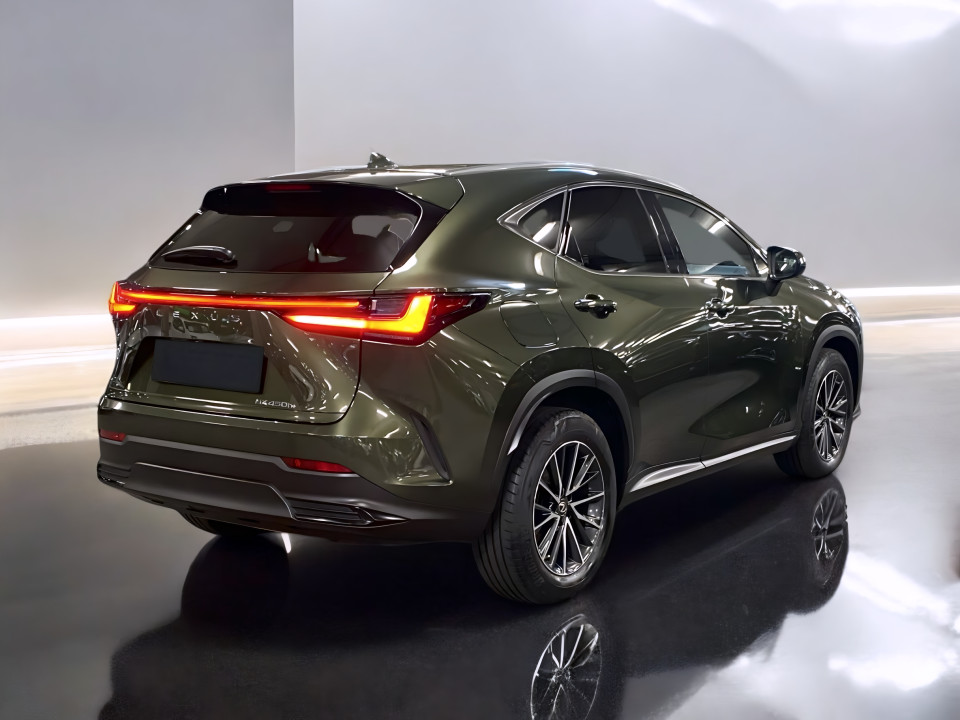 Lexus Seria NX 450h+ Business Line (3)