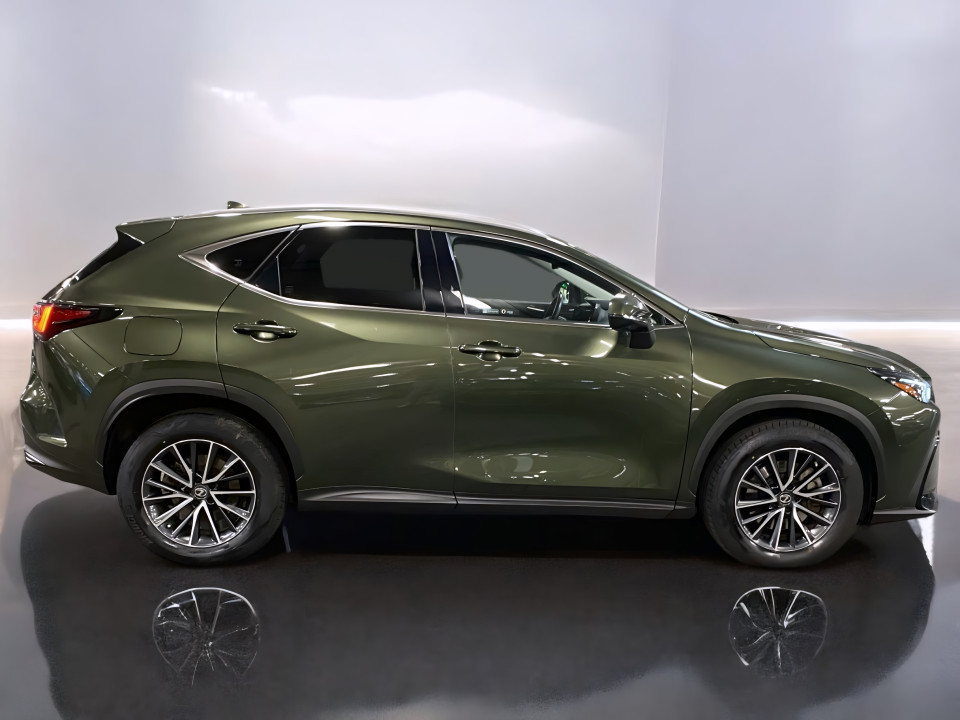 Lexus Seria NX 450h+ Business Line (2)