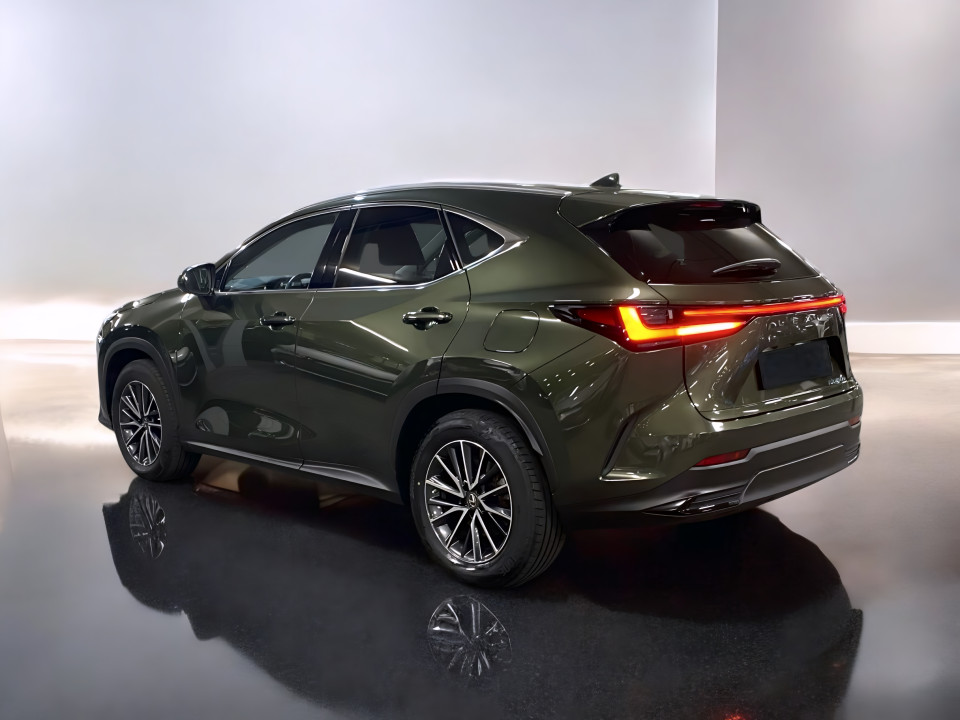 Lexus Seria NX 450h+ Business Line (5)