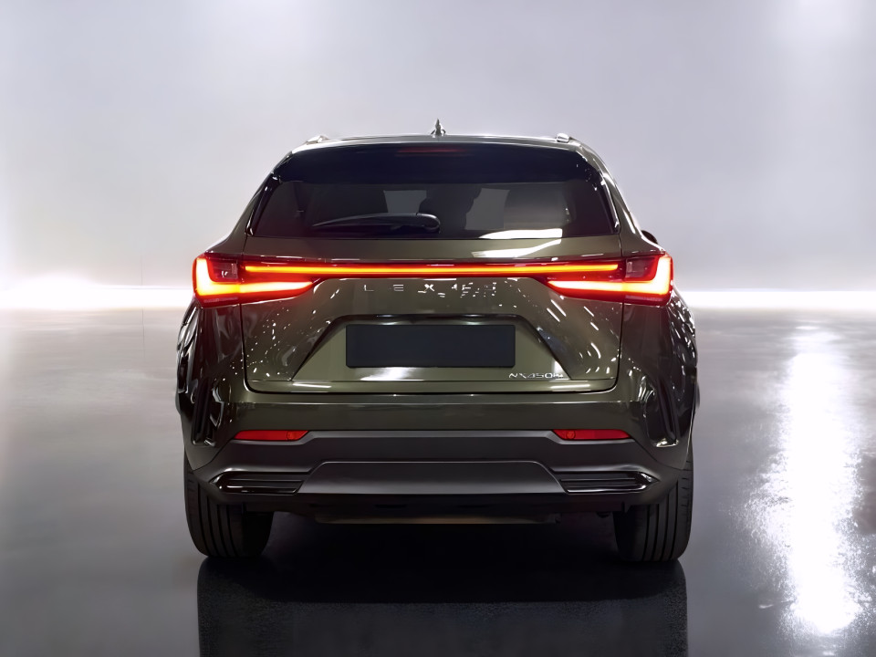 Lexus Seria NX 450h+ Business Line (4)