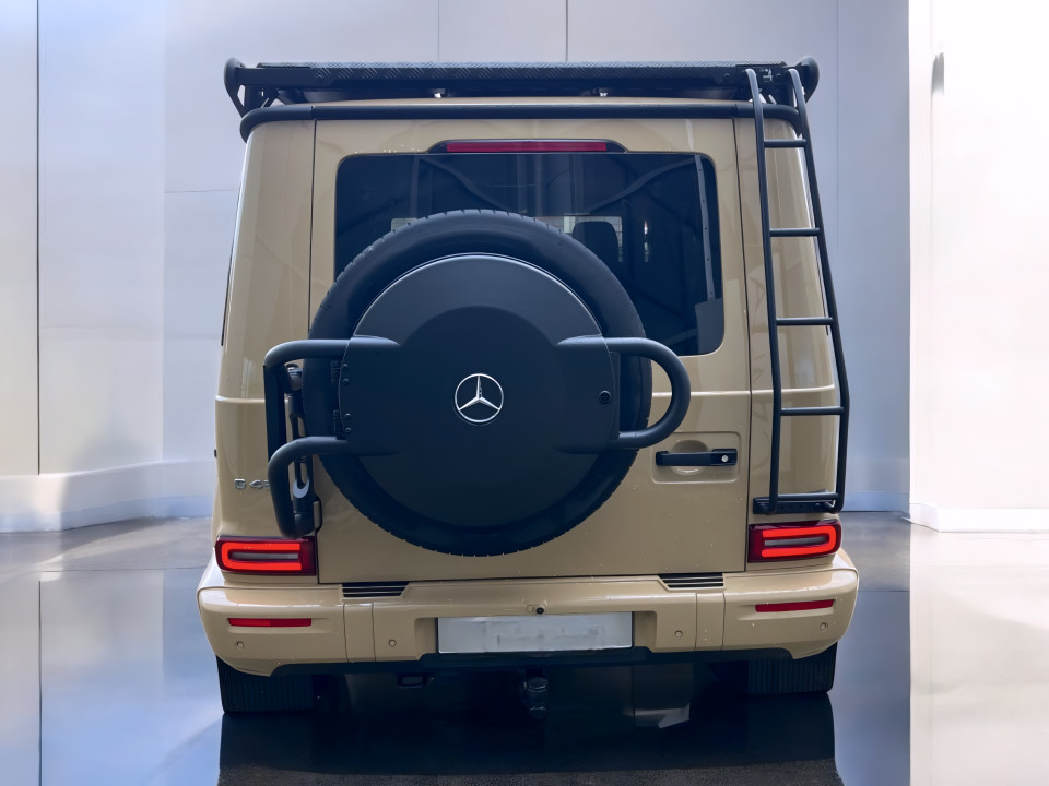 Mercedes-Benz G 450d Professional Line (5)