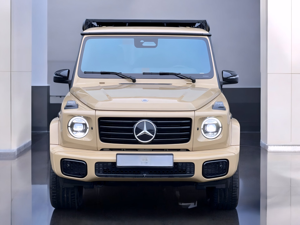 Mercedes-Benz G 450d Professional Line (2)