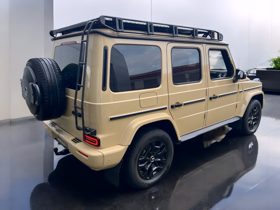 Mercedes-Benz G 450d Professional Line (4)