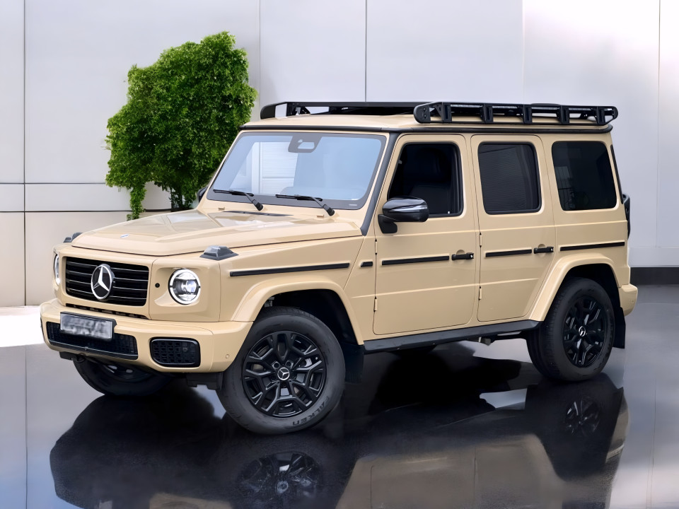 Mercedes-Benz G 450d Professional Line (3)