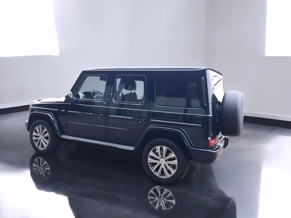 Mercedes-Benz G 350d (5)