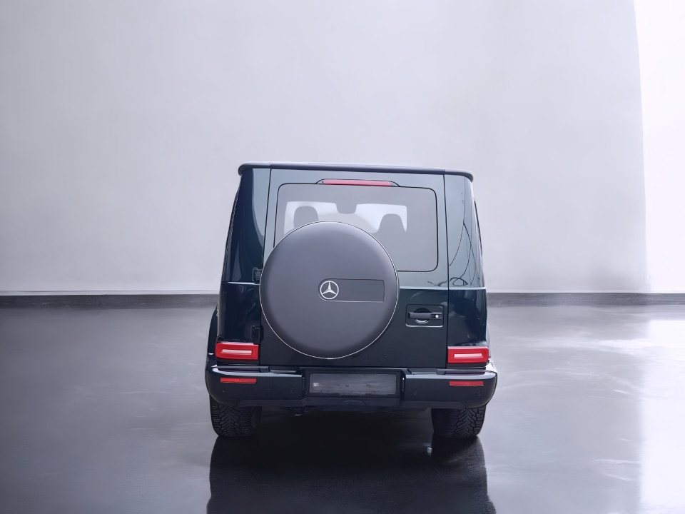 Mercedes-Benz G 350d (4)