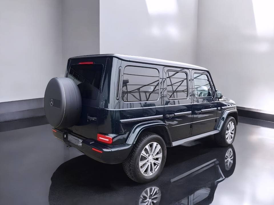 Mercedes-Benz G 350d (3)