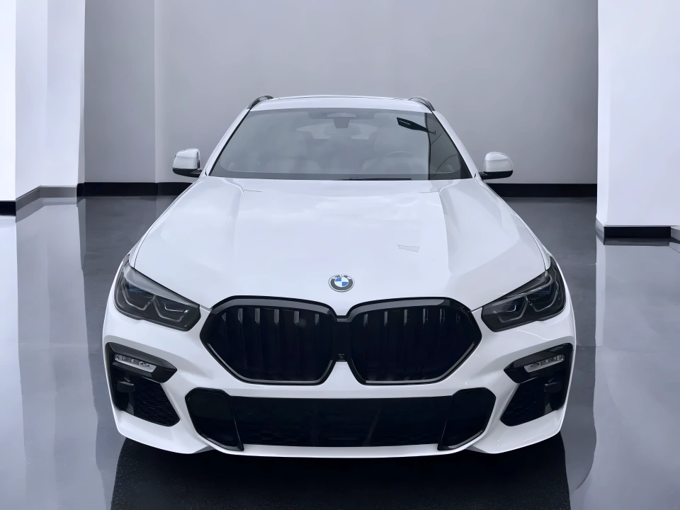 BMW X6 xDrive40d (4)