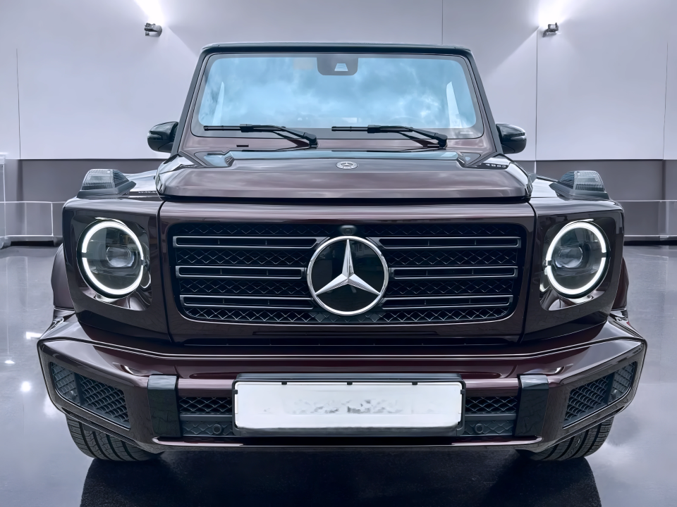 Mercedes-Benz G 350d (4)