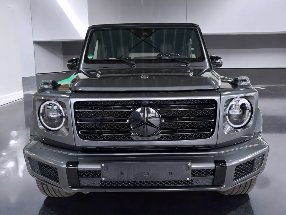 Mercedes-Benz G 400d (2)