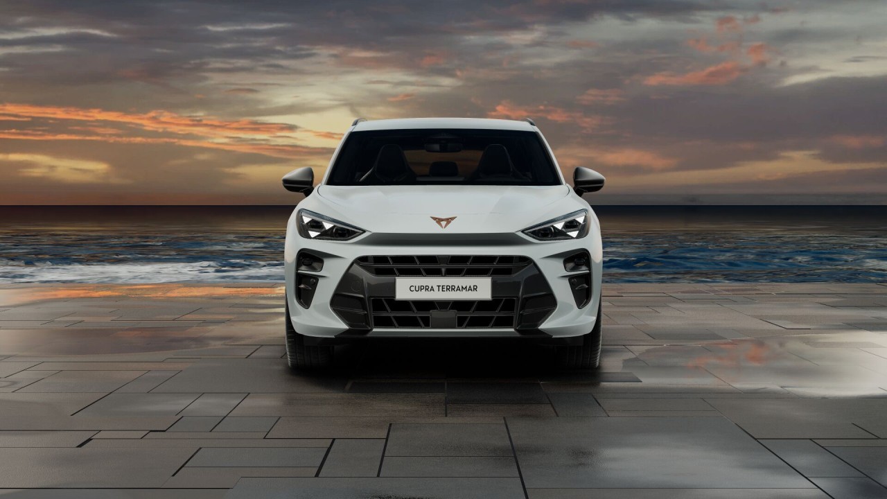 Cupra Terramar 2.0 TSI 4x4 204CP