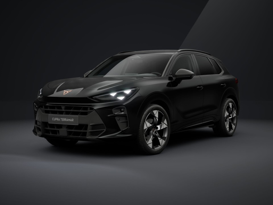 Cupra Terramar