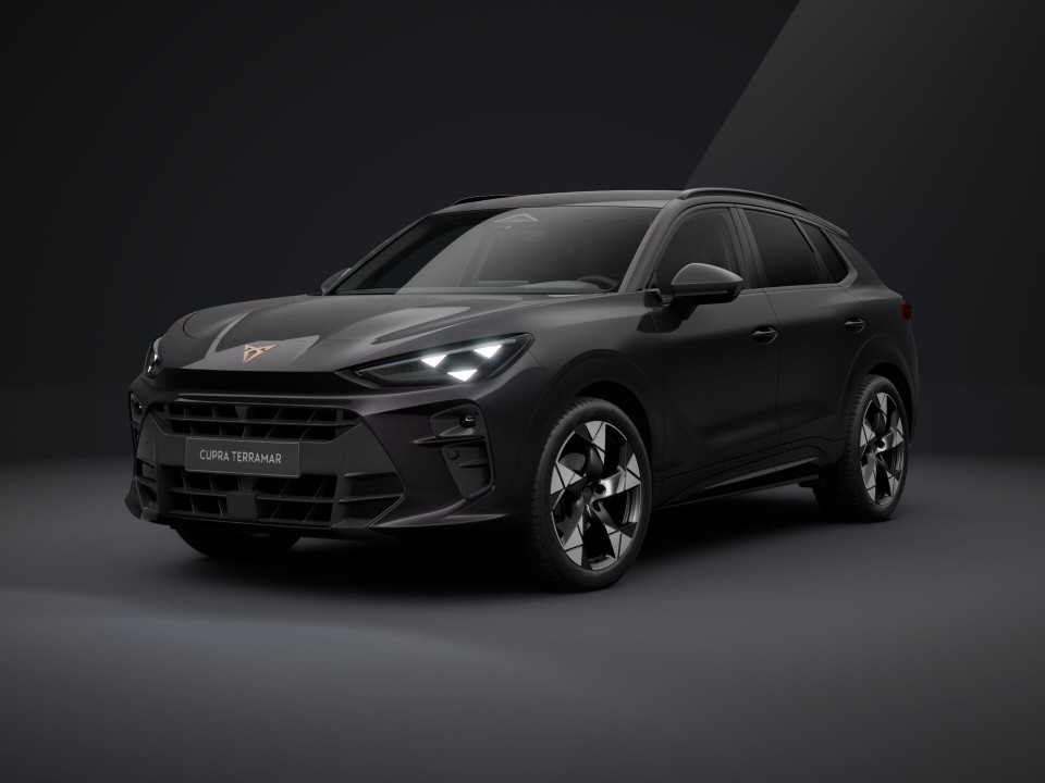Cupra Terramar