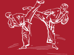 Curs AIKIDO dedicat elevilor de liceu