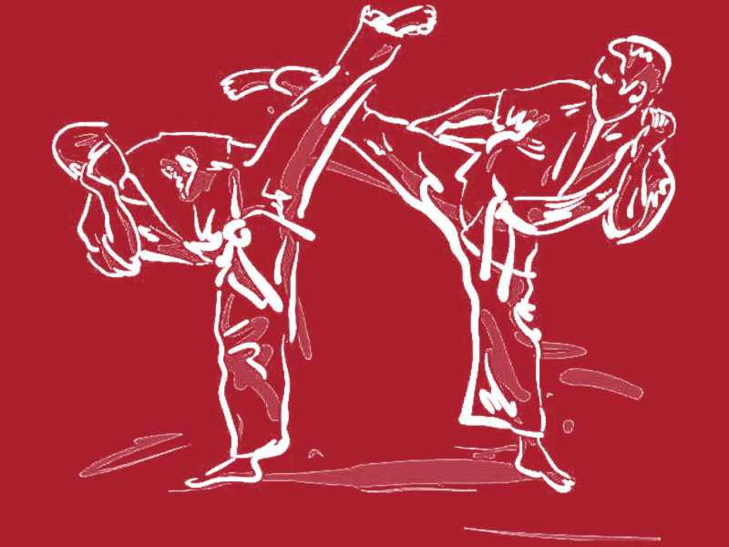 Curs AIKIDO dedicat elevilor de liceu - Fotografie 1