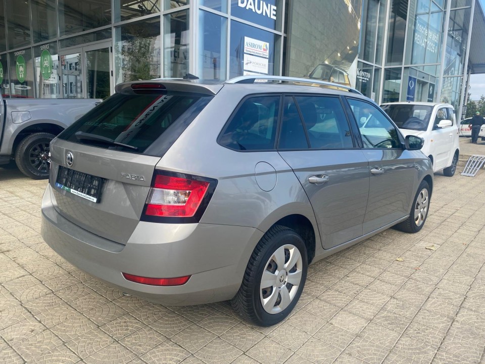 Skoda RAPID (3)