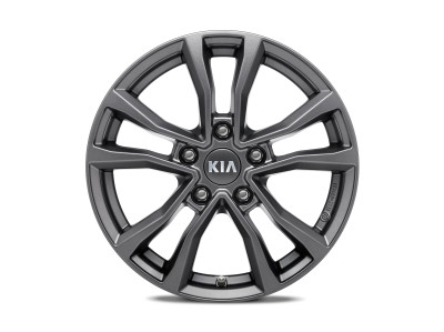 1625236661_J7400ADE06GR_IM_Alloy_wheel_Anyang_16_inch_graphite_01 400xauto
