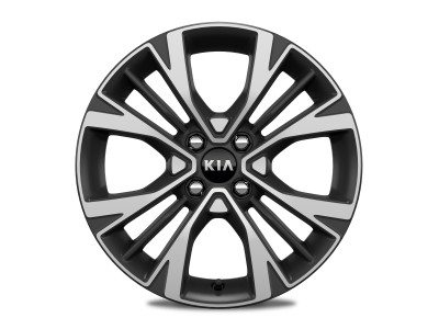 1625734407_G6F40AK020_IM_Alloy_wheel_kit_16_type_C_01 400xauto