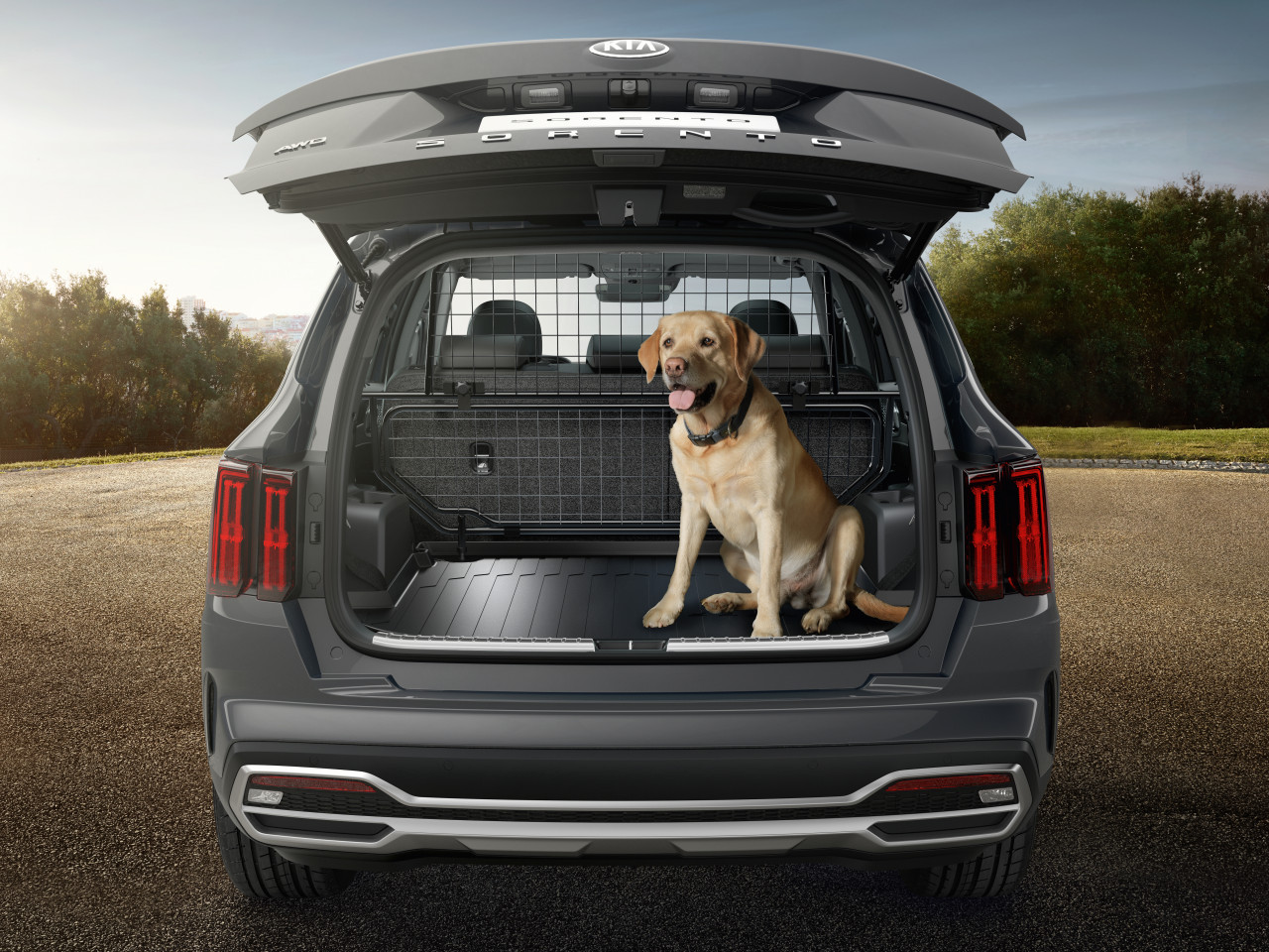 1626187072_P2151ADE00_IM_Dog_guard_lower_frame_01 1280xauto