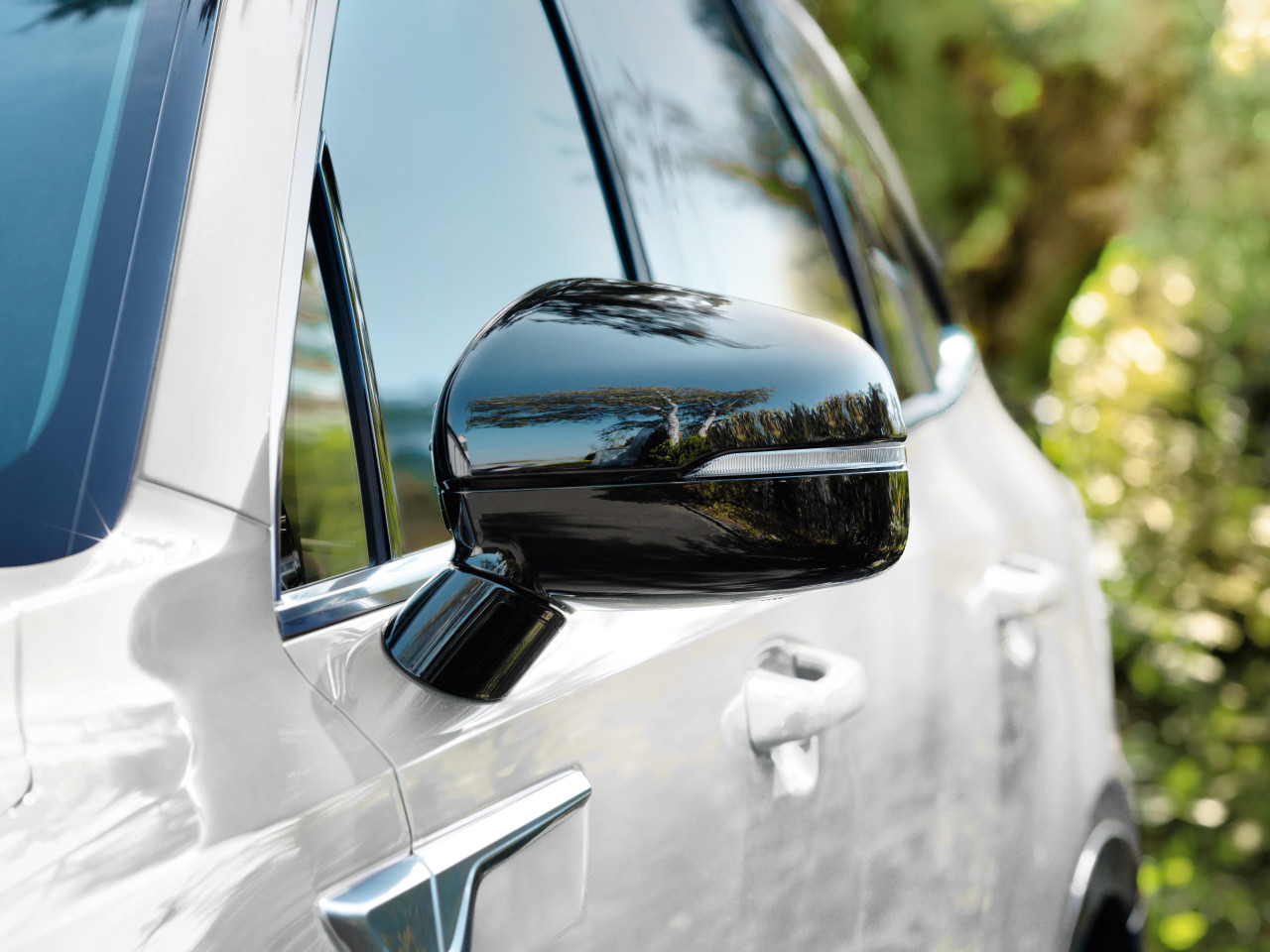 1626187072_P2431ADE00BL_IM_Door_mirror_caps_01 1280xauto