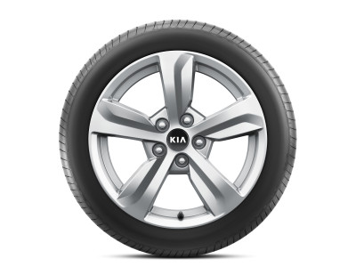 1626243462_P2F40AK000_IM_Alloy_wheel_kit_17_01 400xauto