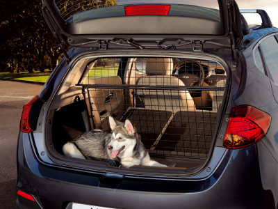 1633693648_A2151ADE00_IM_Cargo_separator_lower_frame_01 400xauto