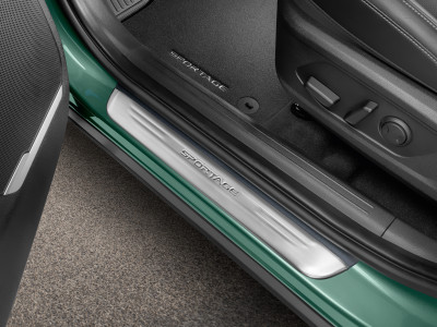 1641908512_R2450ADE00ST_IM_Entry_guards_01 400xauto