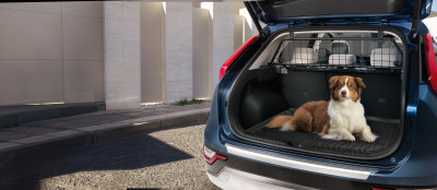 1655217228_AT150ADE00 AT122ADE10E_IM_Dog_guard_and_Trunk_line_Emotinal_image_01 400xauto