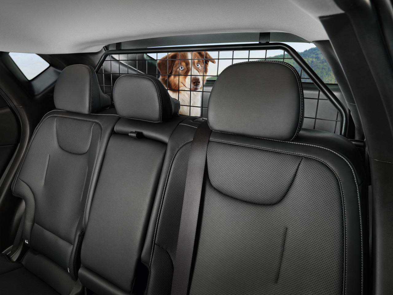 1669123021_CV150ADE00_IM_Dog_guard_01 1280xauto