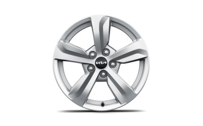 1716303784_P2F40AK080_IM_Alloy_wheel_17_inch_01 400xauto