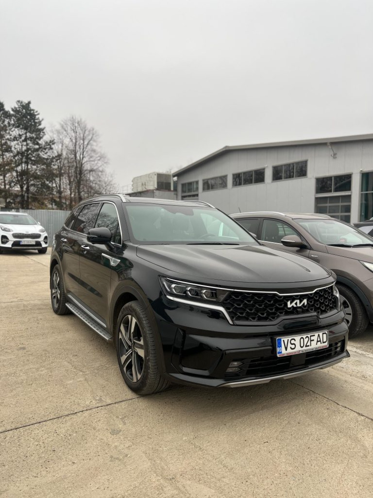 6965f4cec81361768289486 06965f4cec813c